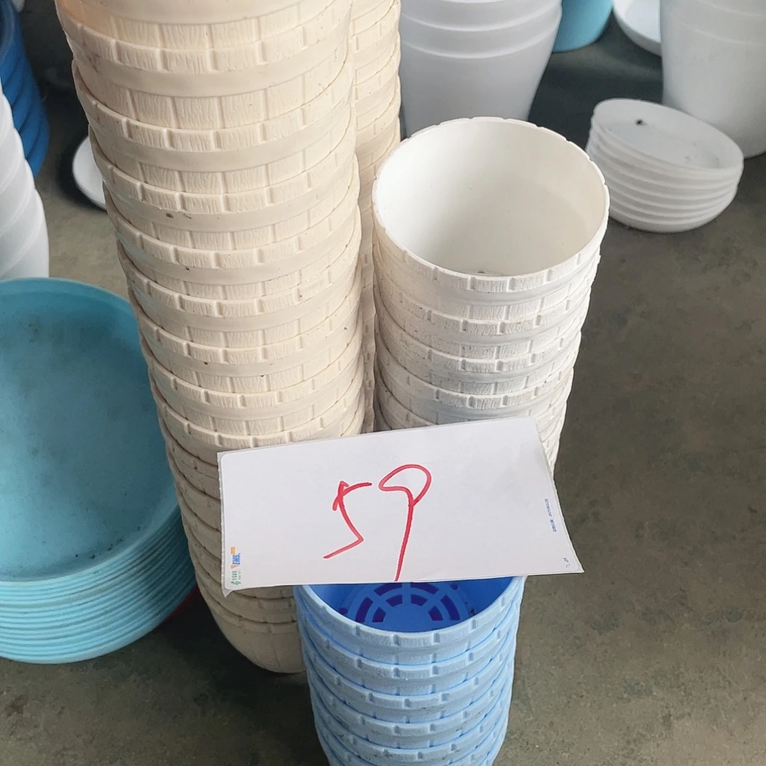 编号是59号的59号的