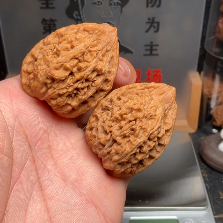 吊坠文玩核桃蚂蚁王38全品