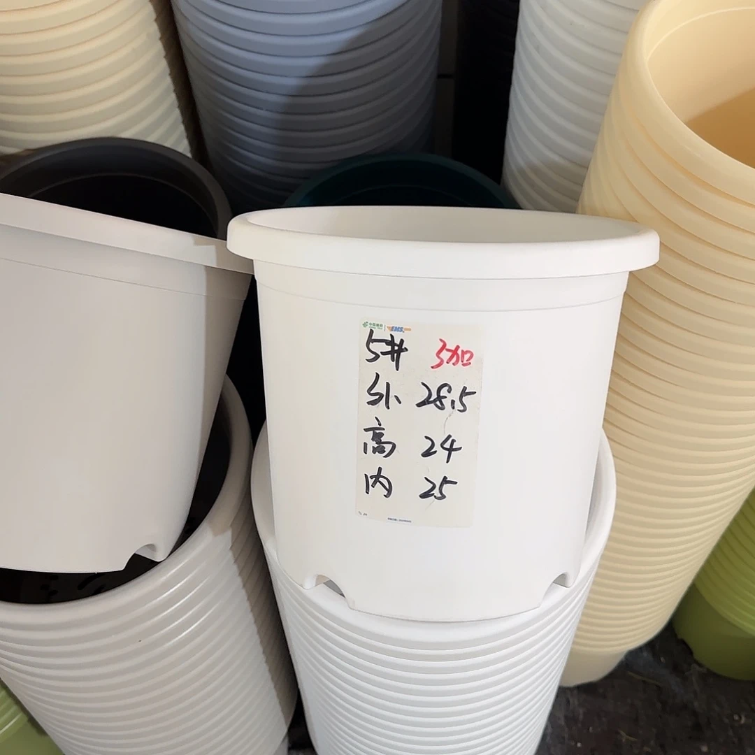 微瑕5号6个带托，白色