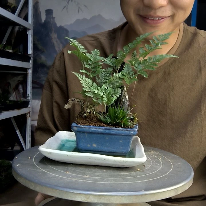 L****g中青园艺一物一拍147