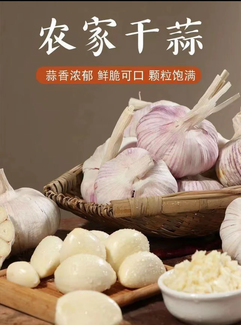 自然晾干紫皮大蒜应季新鲜大蒜头新干蒜正宗山东金乡现摘现发蔬菜