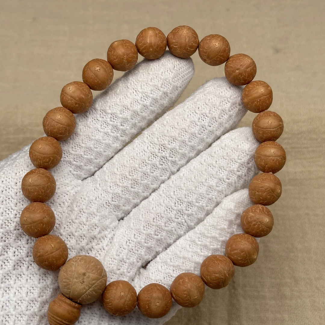 尼泊尔凤眼菩提-锦柚一号ss系列-尺寸12.5到12.69-货号214