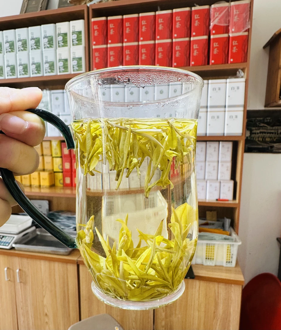 【临时链接-新茶福利黄金芽H3】2025新茶安吉友白白茶 安吉原地产