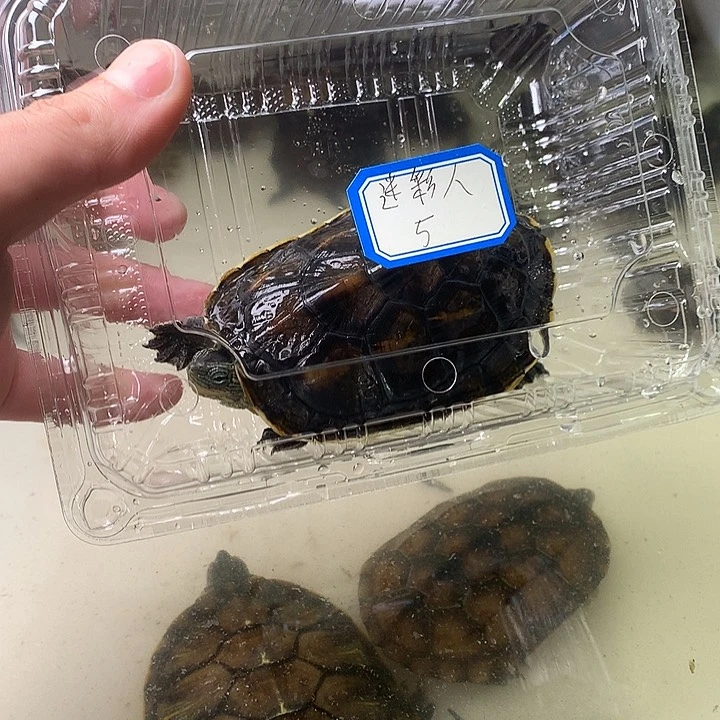 哈哈哈哈哈哈哈哈哈哈哈好好