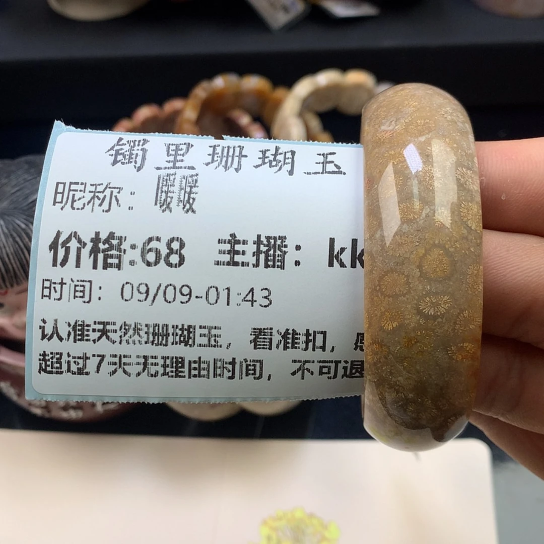 【闪购商品】颈饰未镶嵌硅化珊瑚（珊瑚玉）暖*