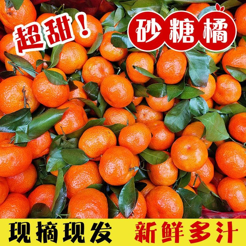 正宗广西砂糖橘斤新鲜水果当季金秋蜜桔现摘无籽小沙糖桔子整箱