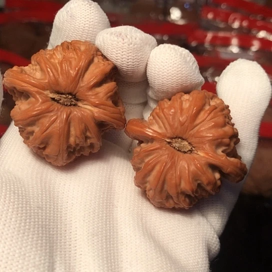 把件文玩核桃白狮子39