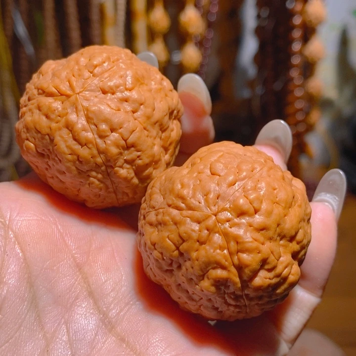 野生疙瘩龙金刚把件3844