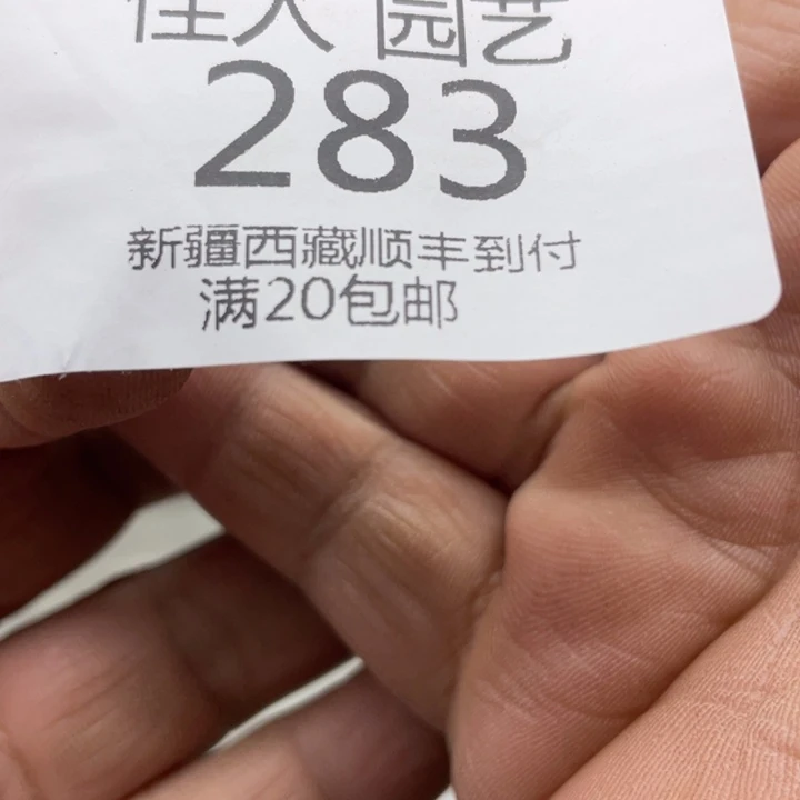 在****愈自愈饿蓝色蓝色接力283