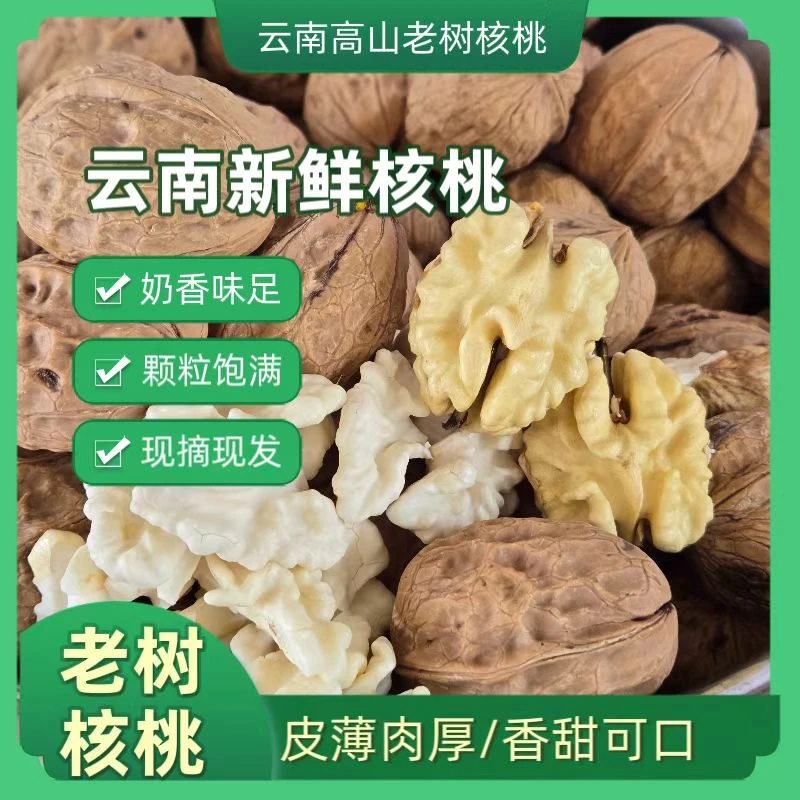 【云南老树核桃】新鲜湿核桃生核桃水果核桃云南高山老树核桃坚果香