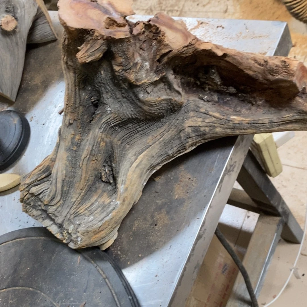 柏木精****套我们都是好孩子