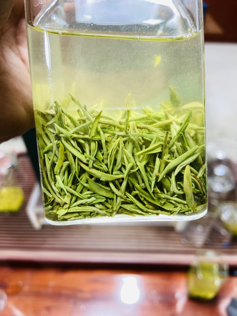 2025年信阳高山毛尖  早春米芽 清香花香传统工艺袋装