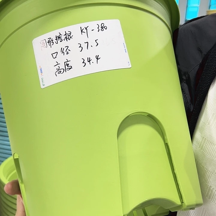 正品圆控口38高34果绿无托3只