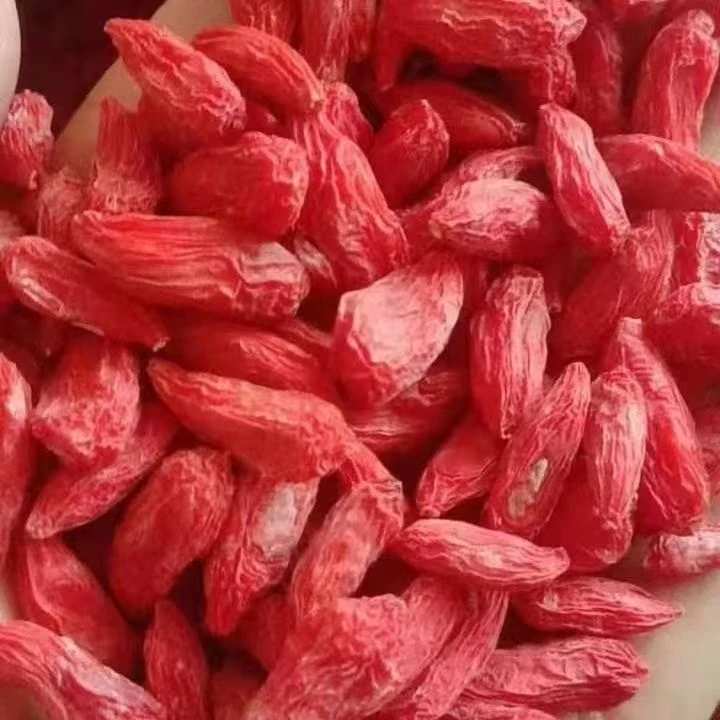 甘肃靖远红枸杞无染色无硫熏自然晒干正宗特级好枸杞