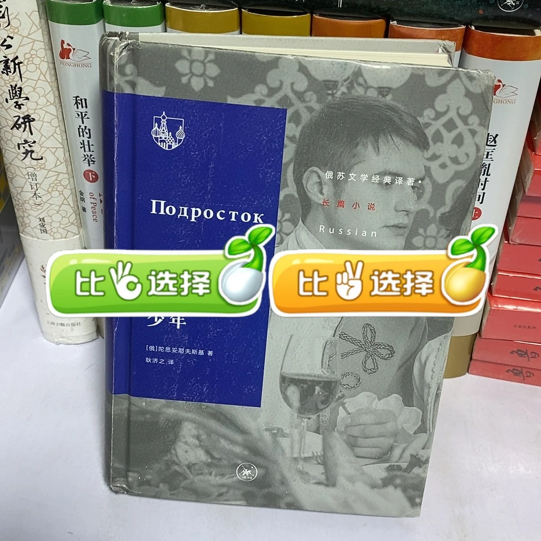 少年………………………………俄苏文学经典