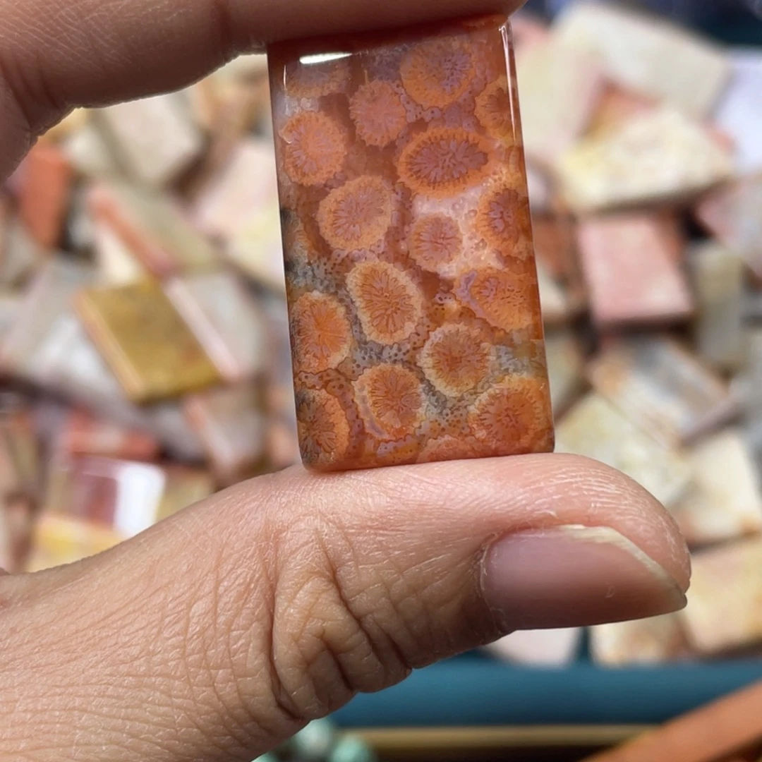 未镶嵌手镯硅化玉