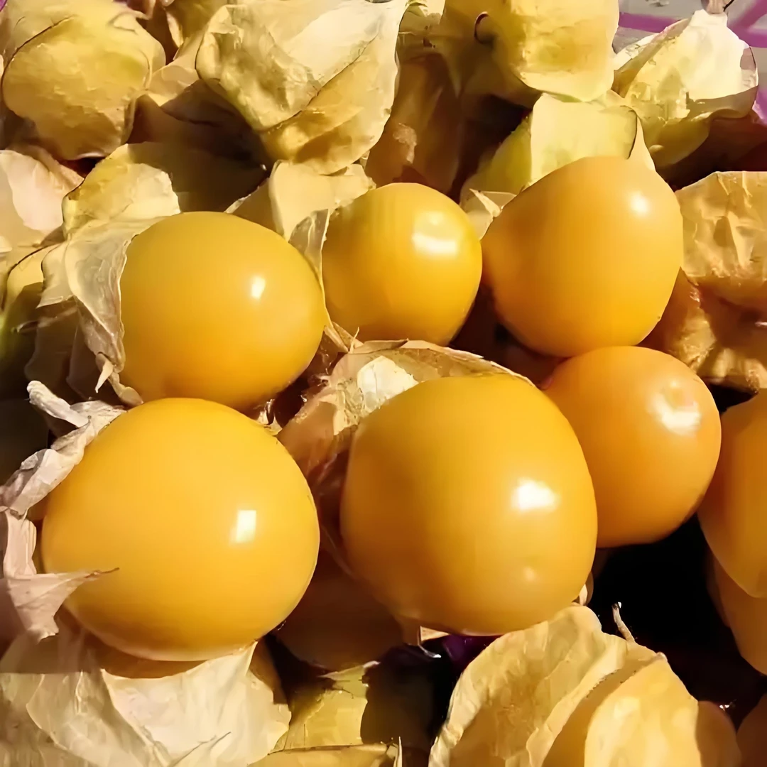 香甜菇凉果（灯笼果） 300g