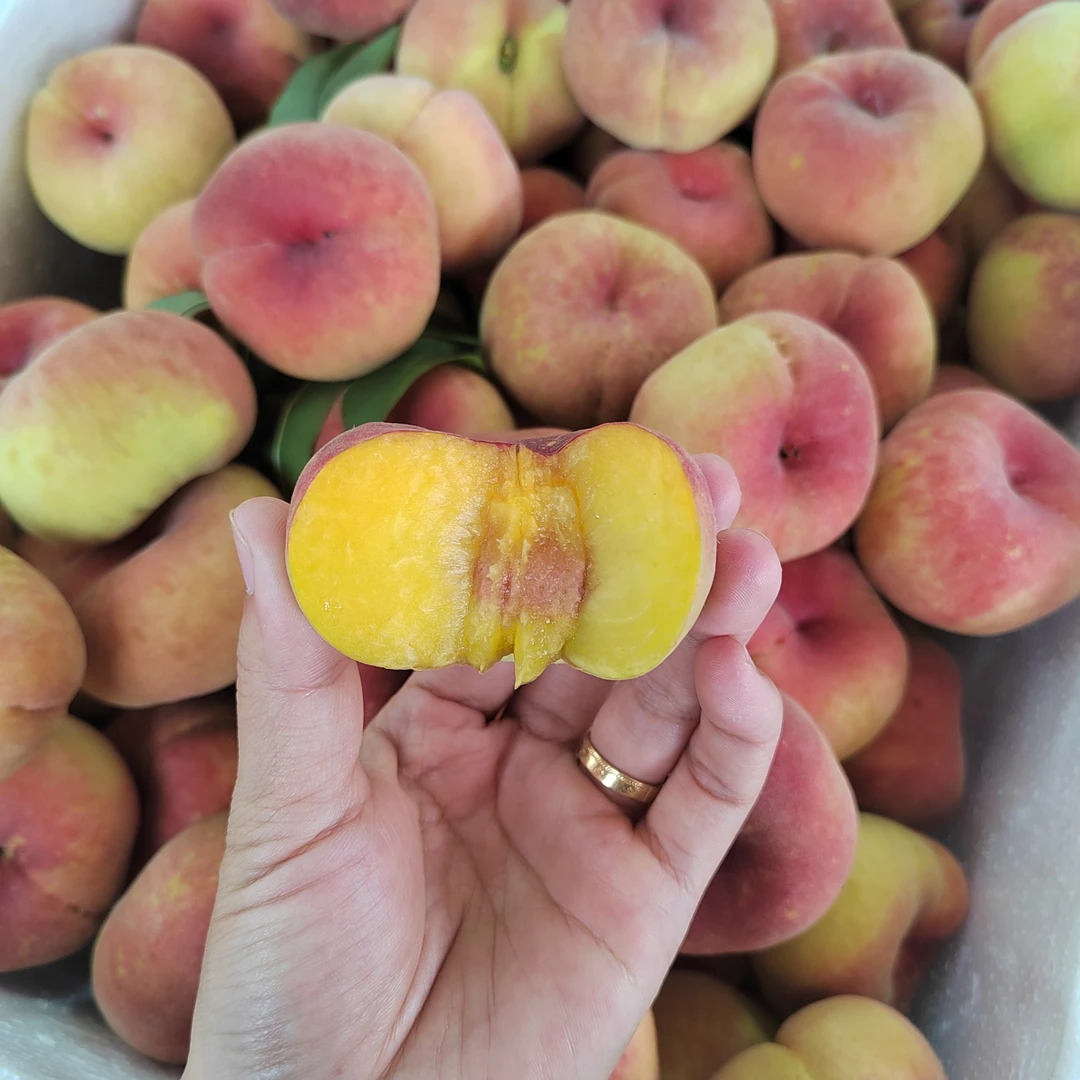 文明本地现摘彩虹毛蟠桃黄肉蟠桃香甜多汁当季新鲜水果产地直发