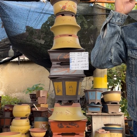 花盆紫砂特价包邮送盒