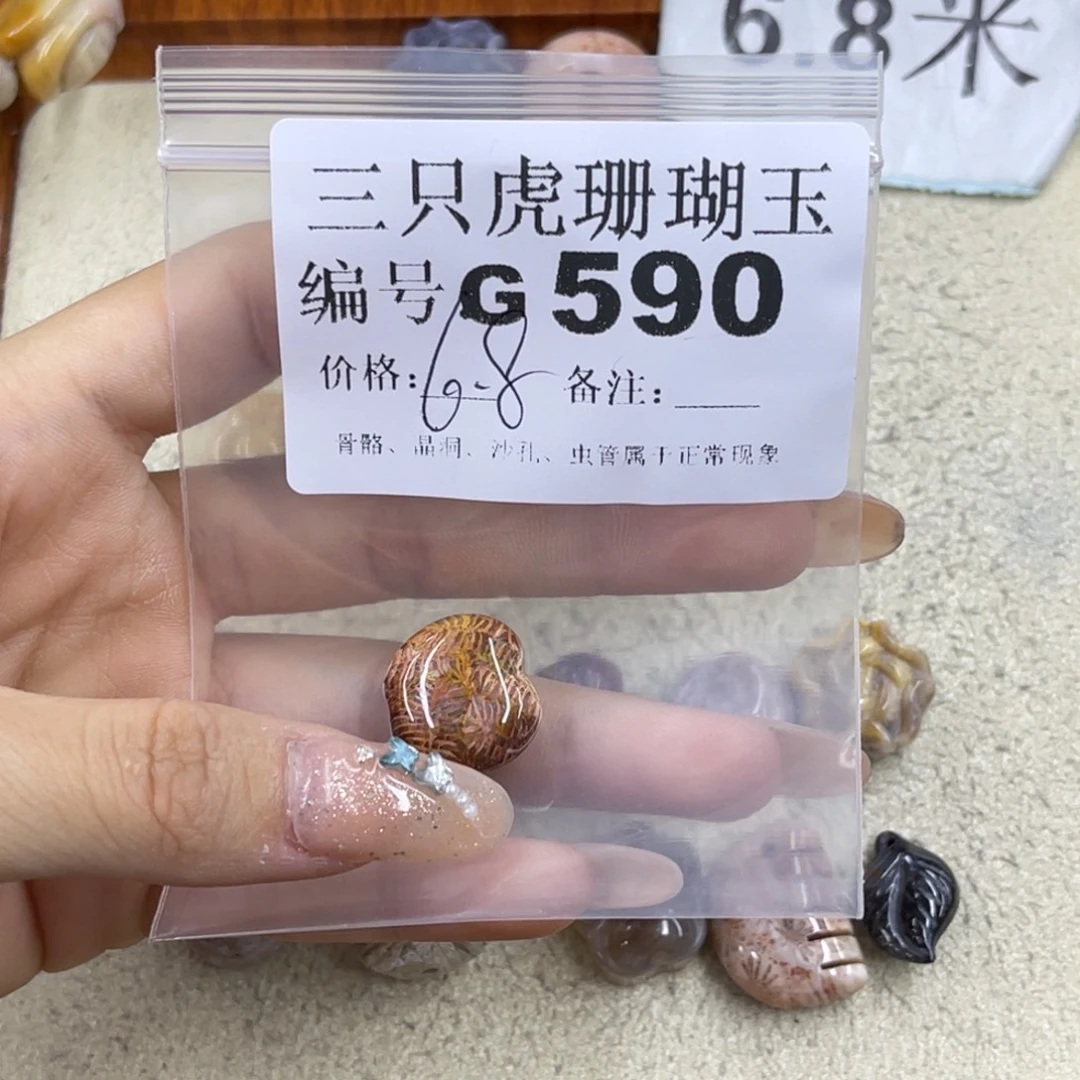 好***熊硅化珊瑚（珊瑚玉）未镶嵌h