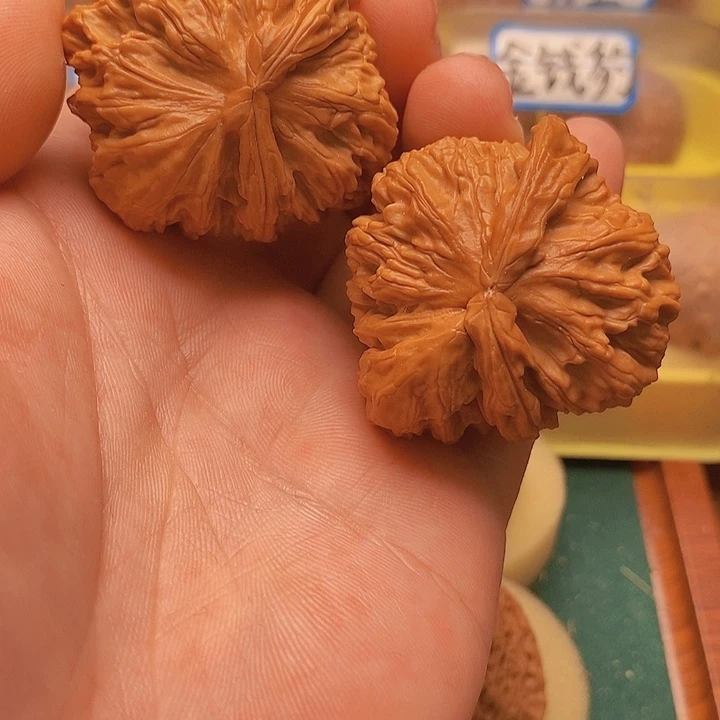 文玩核桃把件46白狮子牛角