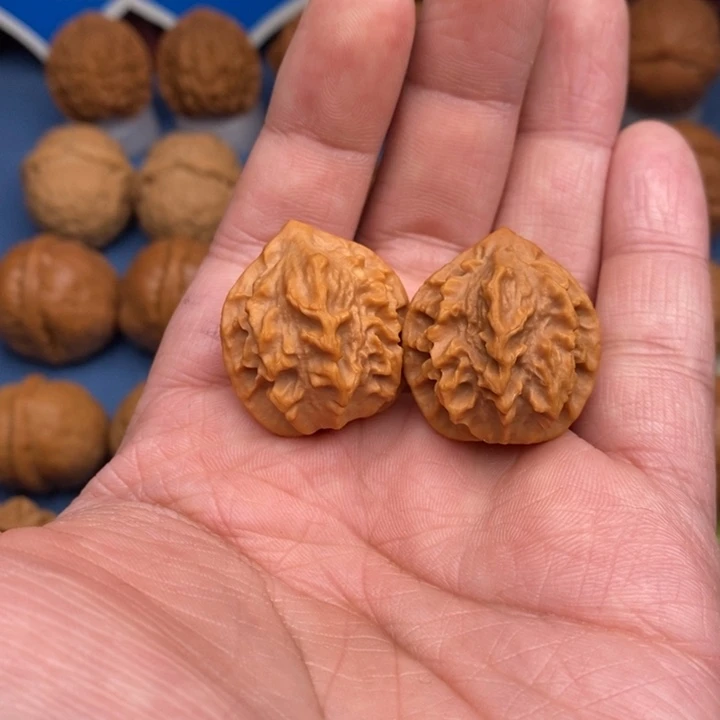 文玩核桃把件龙脊背