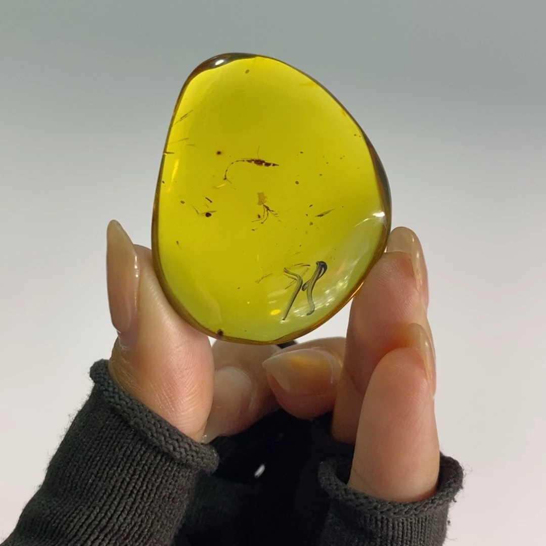 琥珀未镶嵌裸石珀