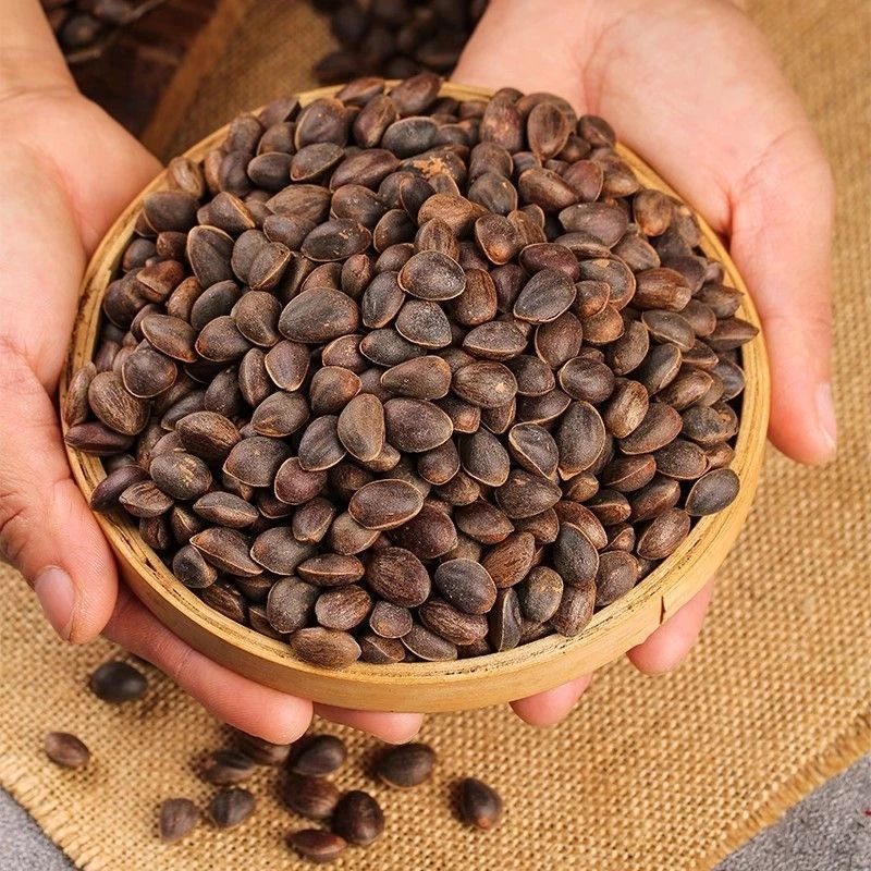 【现收】sz 云南农家好物干货土特产 松子———————1——————