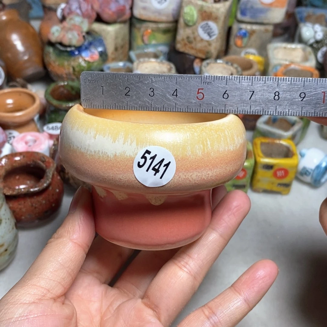 拍5送一个小礼物