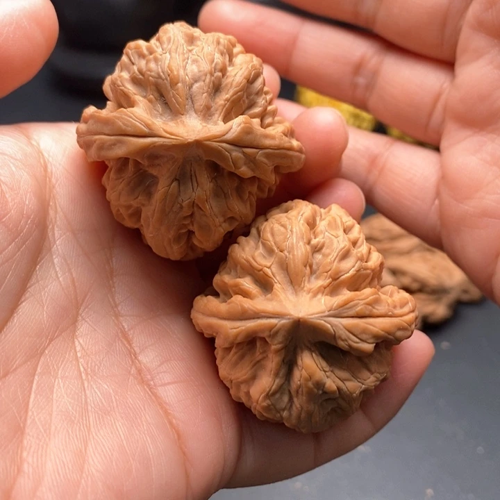 文玩核桃把件红锦鲤43尺