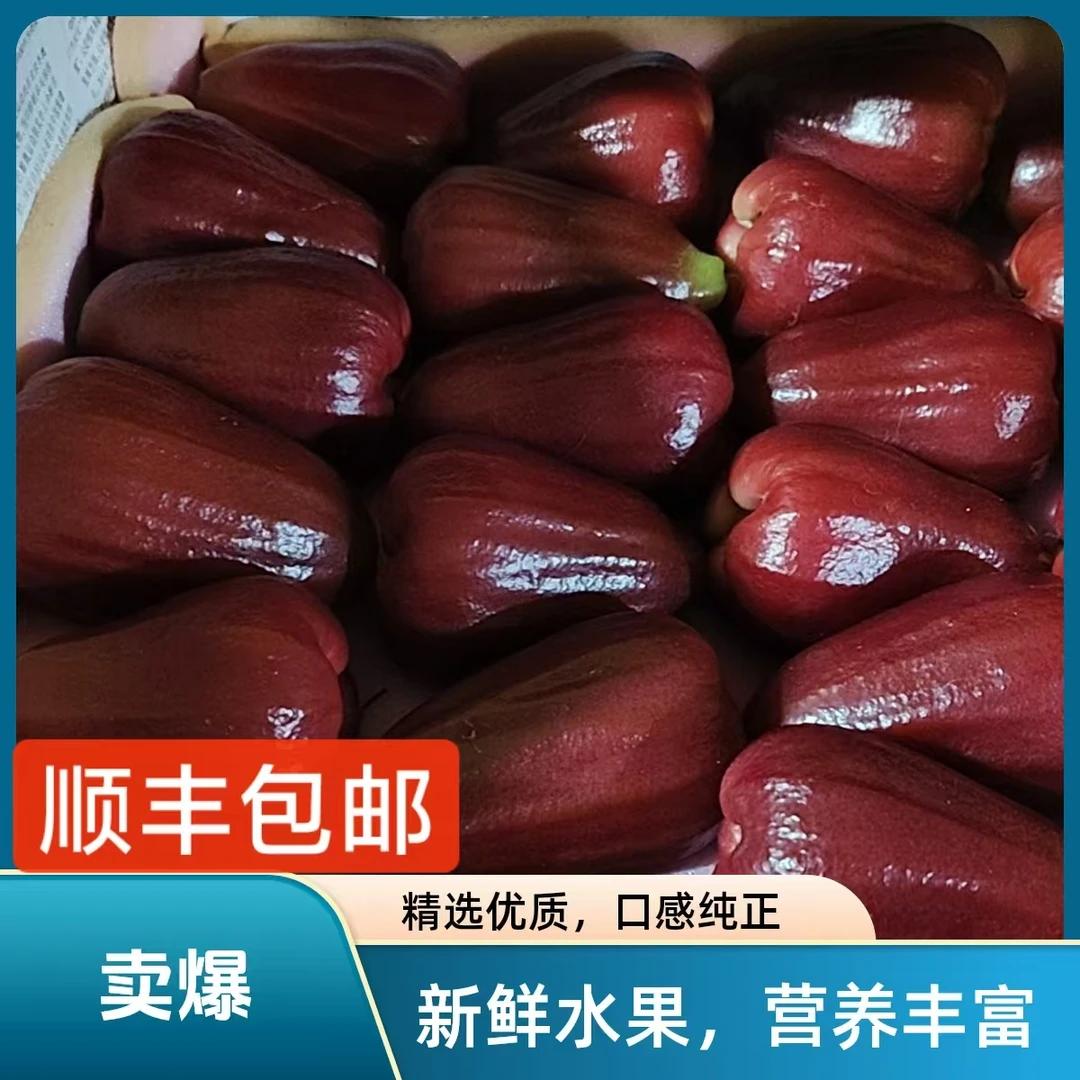 海南莲雾新鲜多汁清甜爽口热带水果包邮
