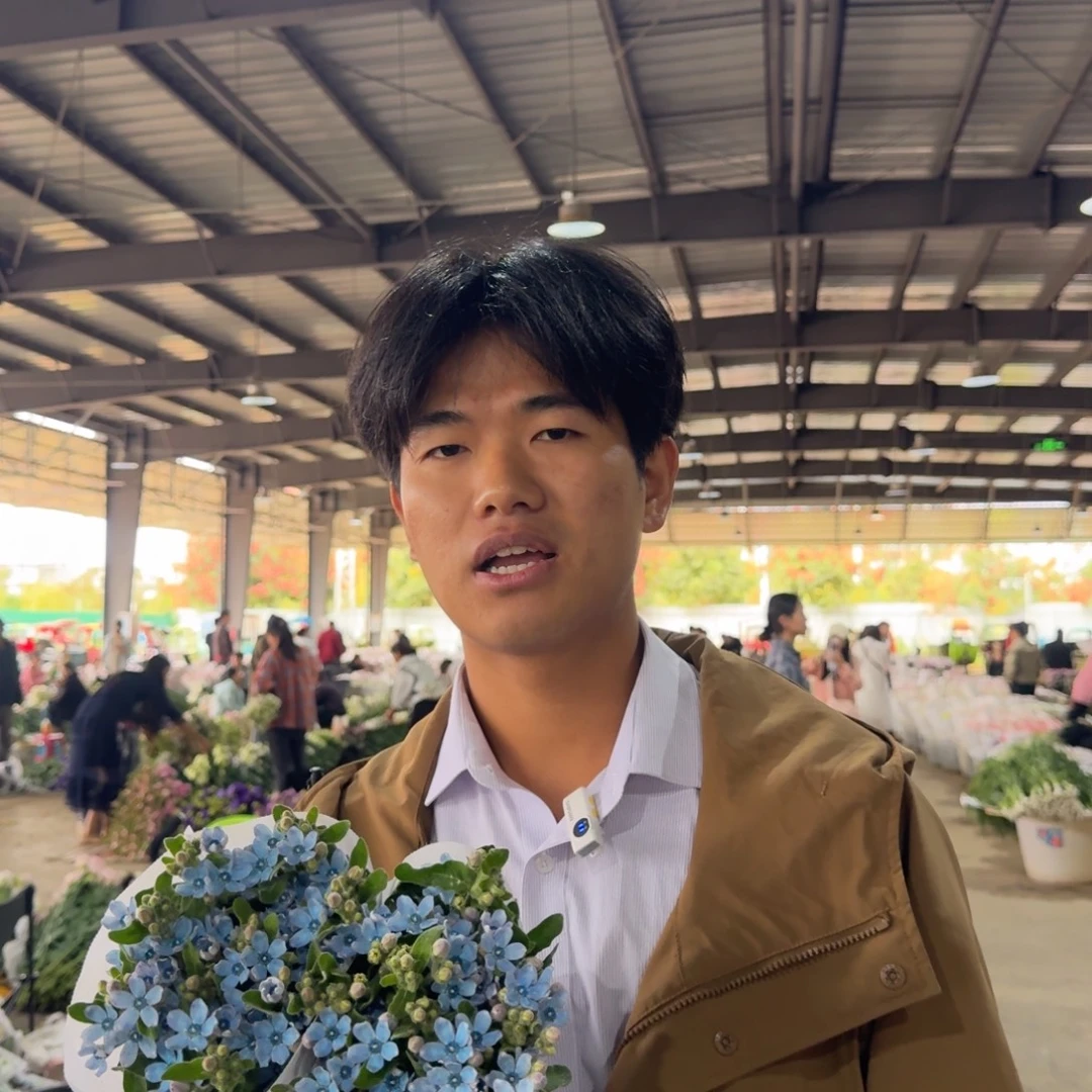 蓝星花2扎包邮价秒杀