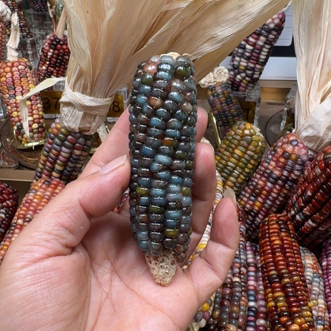 柏香籽/百香籽吊坠佩**姐