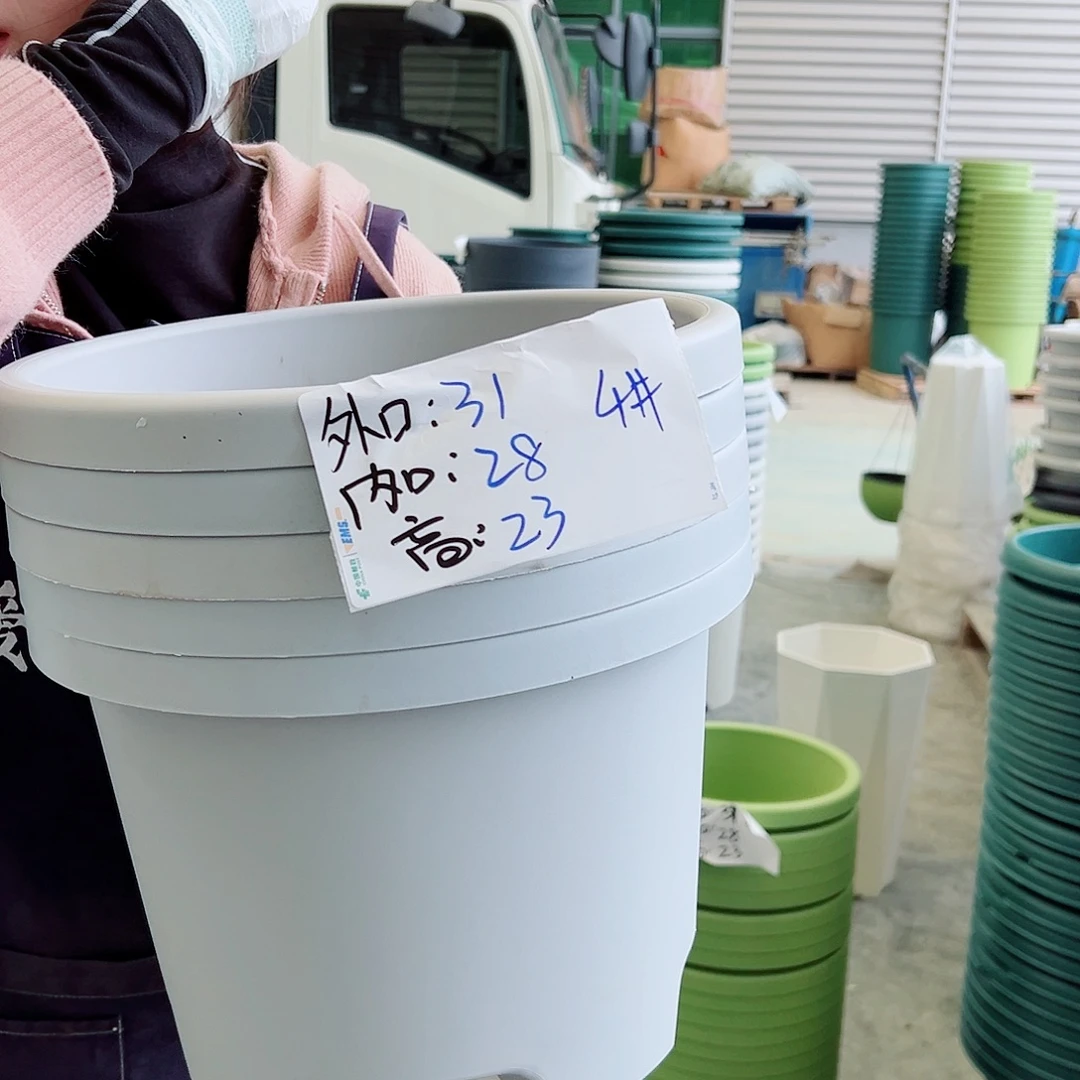 球根盆4#灰白5个无托