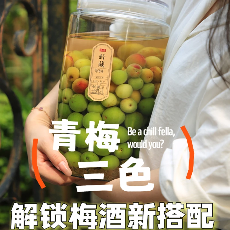 青梅三色 泡酒套餐新搭配诏安胭脂红梅青竹梅黄梅5斤果酒青梅露