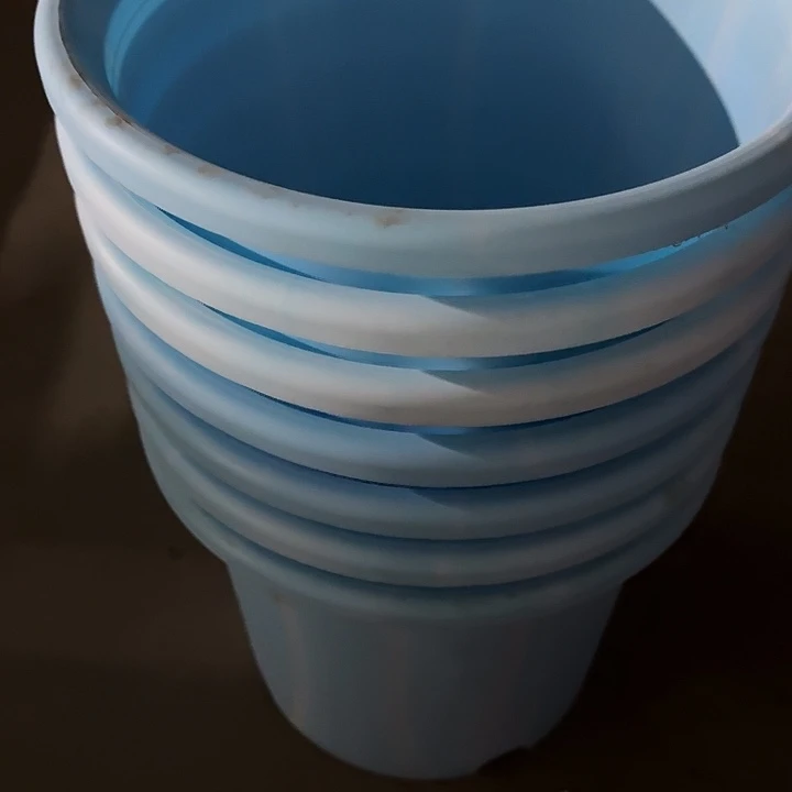 编号编号编号2384