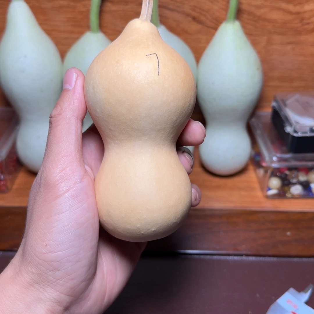 7号本长葫芦定向链接
