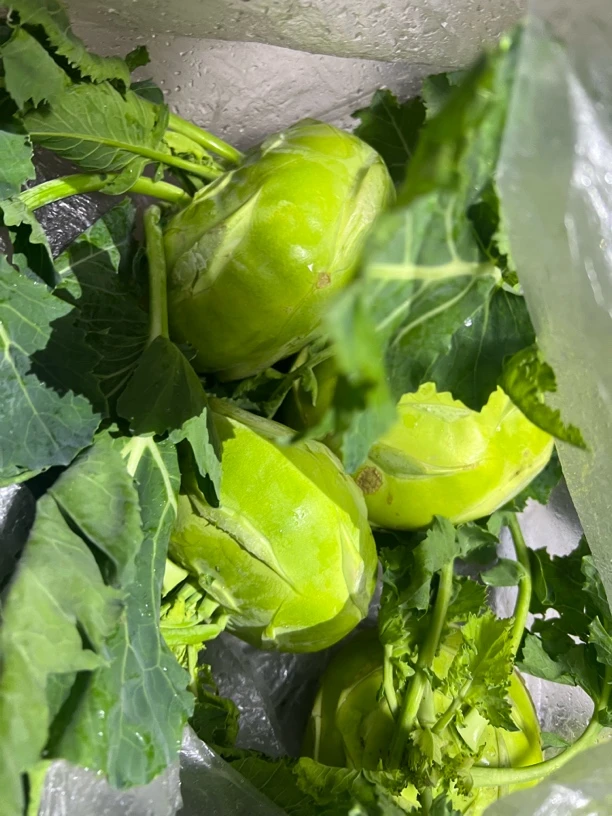 边城山货————苤兰