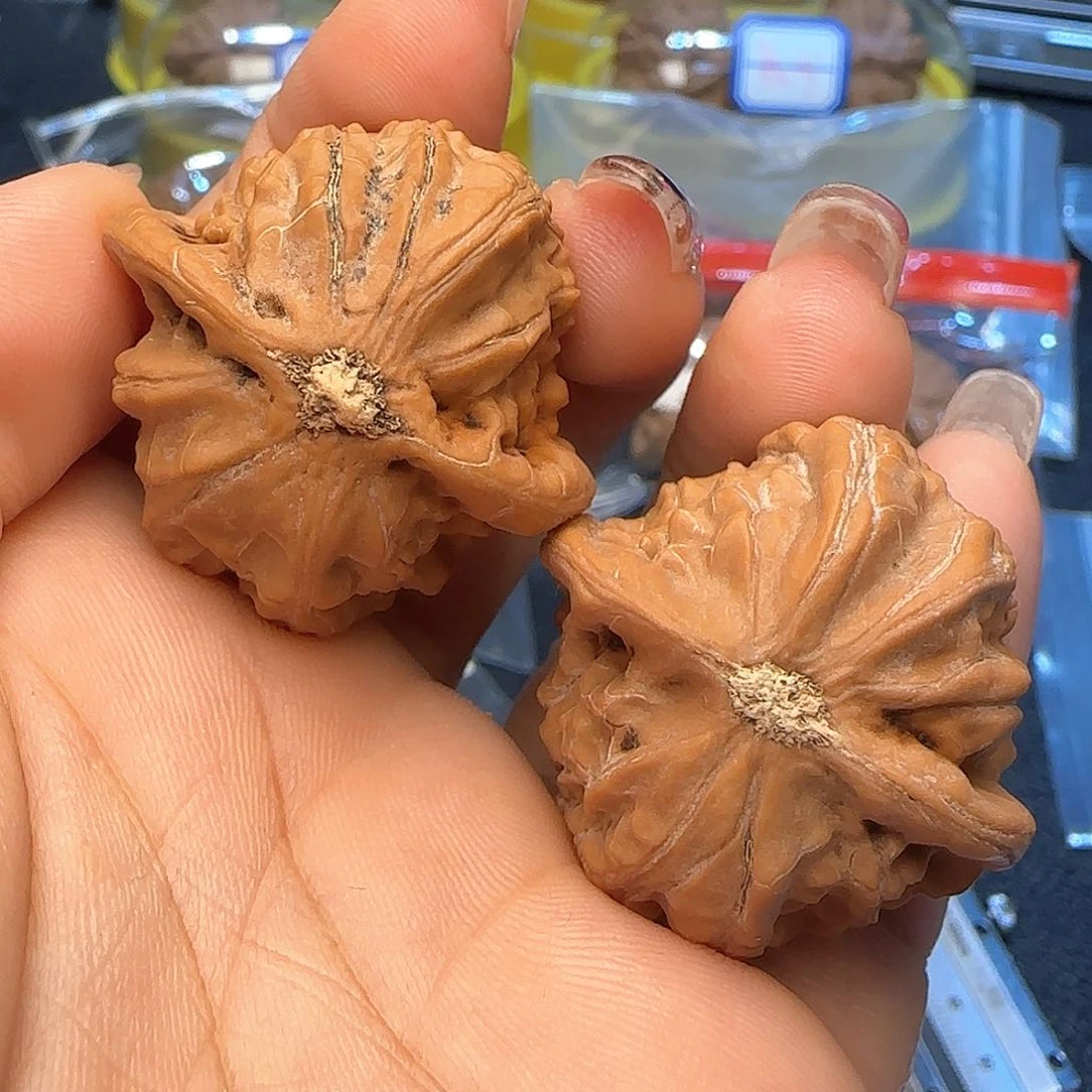 文玩核桃吊坠34➕全品贵妃扇