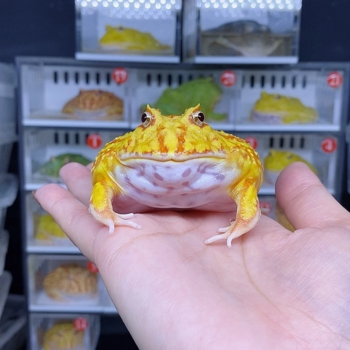 特价秒杀现货特价