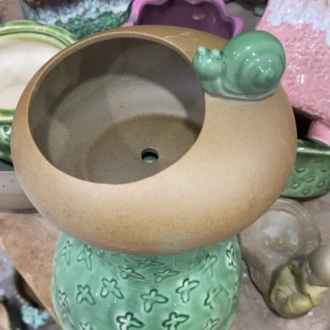 袜形蜗牛31313133131