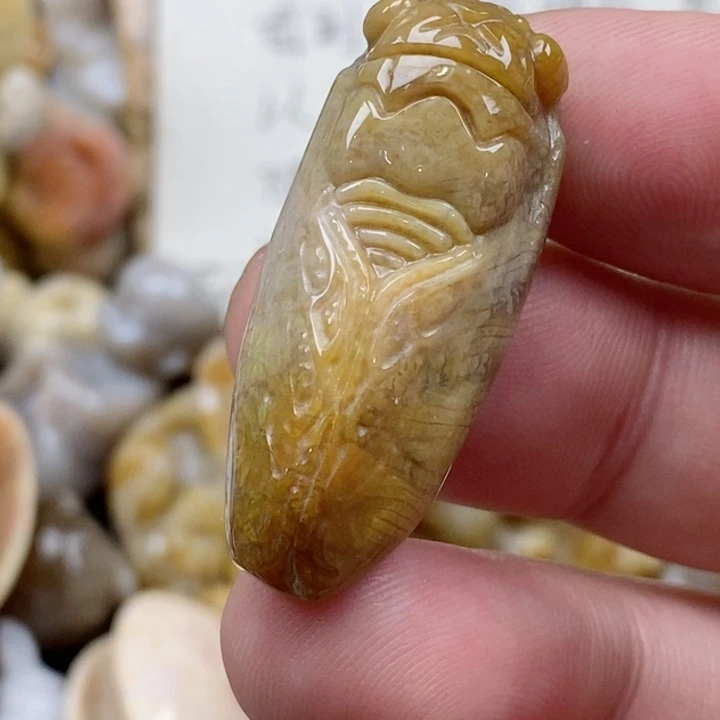 颈饰未镶嵌硅化珊瑚（珊瑚玉）小