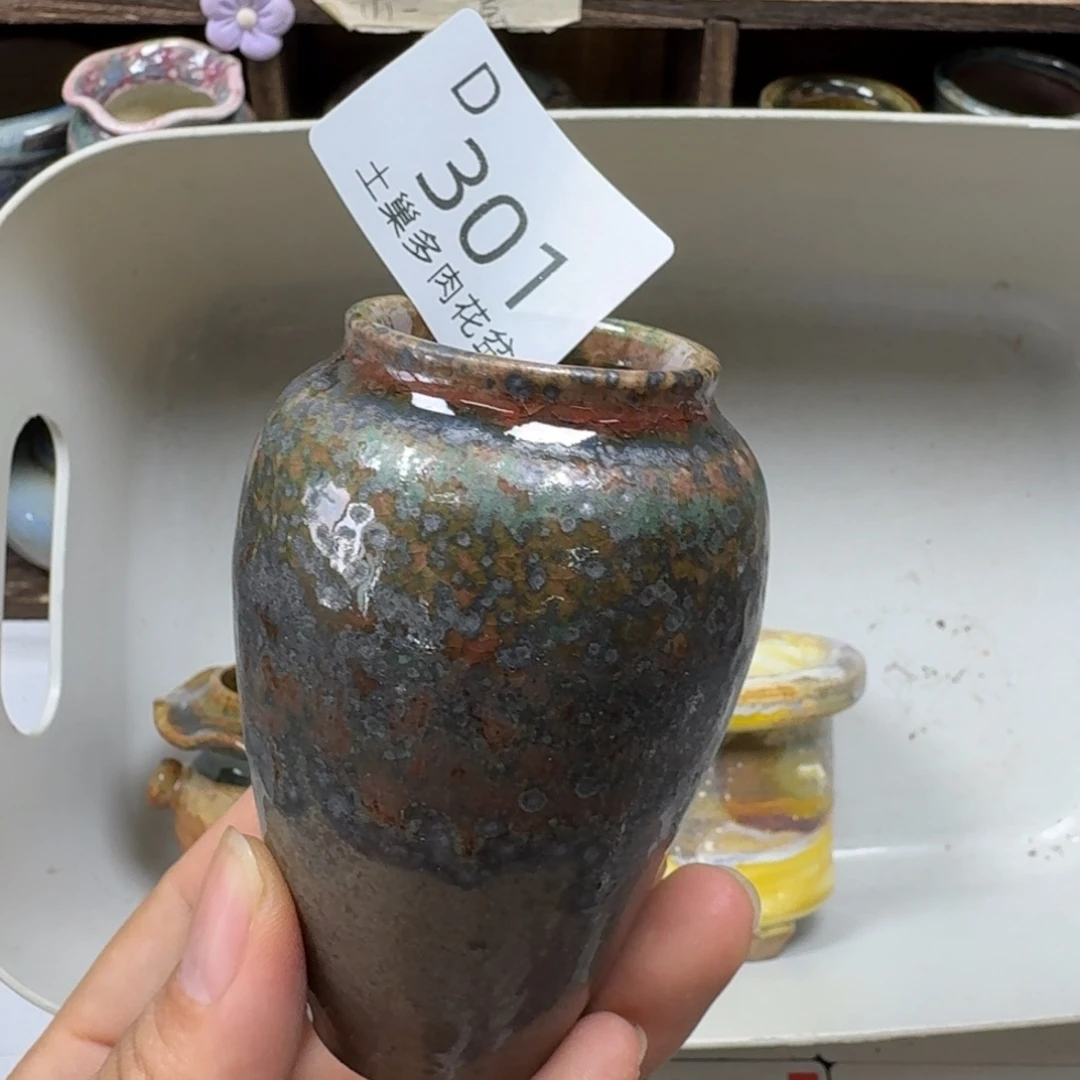 丽***丽陶瓷工艺与艺术设计