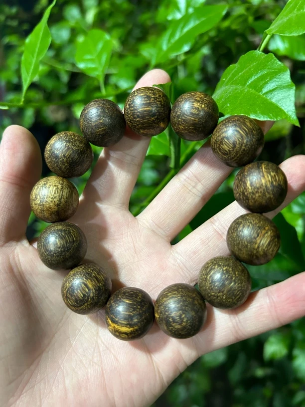 【小雪专属土特产101菇】净含量30g起