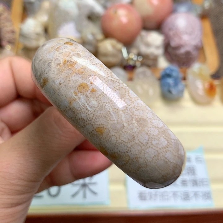 硅化珊瑚（珊瑚玉）未镶嵌颈饰55圈口有瑕