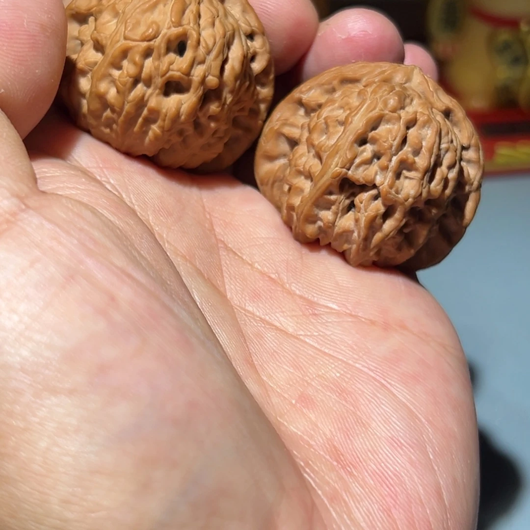 瑞麟文玩核桃白狮子 39.39.33