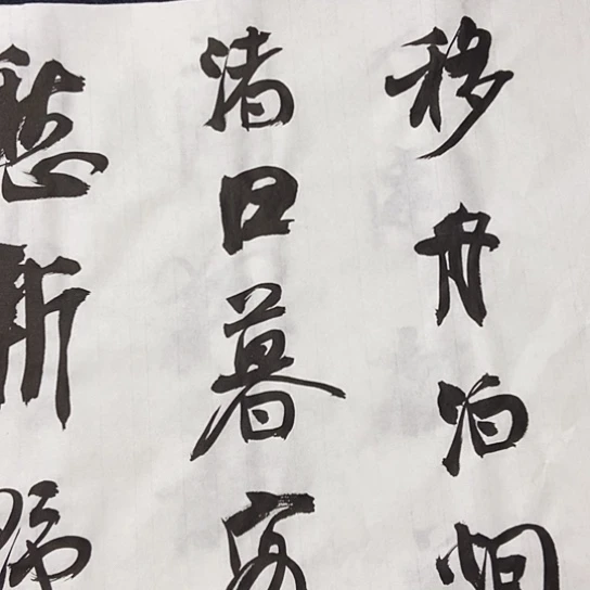 书法张建东老师书法作品