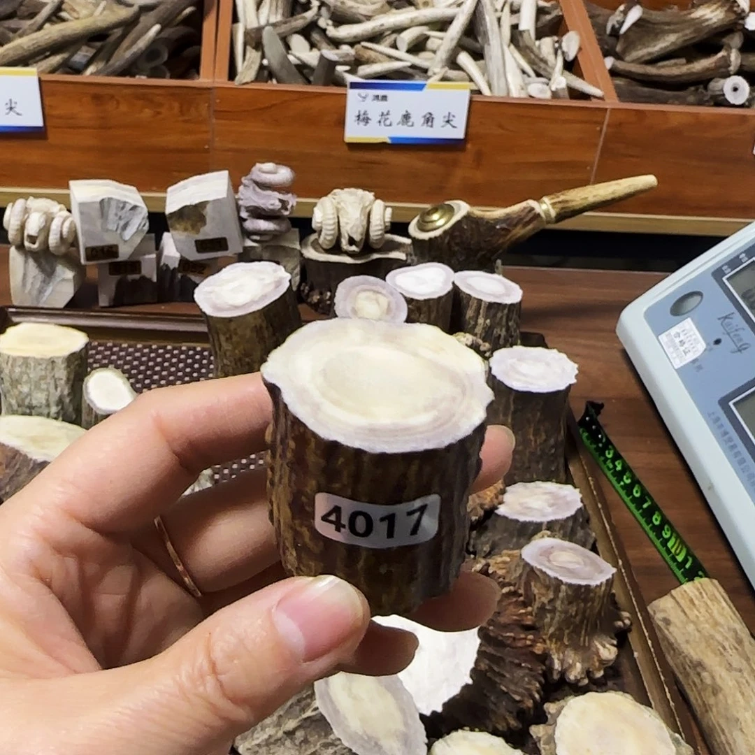 手串/手链鹿骨4017根段