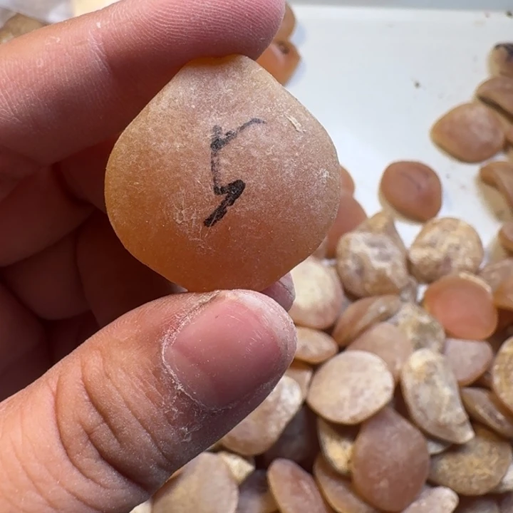 花岗石铁合金青鱼石