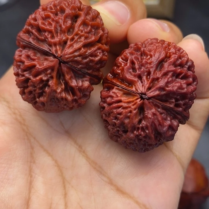 文玩核桃把件37尺蚂蚁元宝